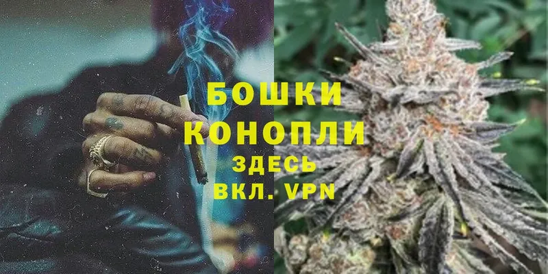 Бошки Шишки THC 21%  Лихославль 